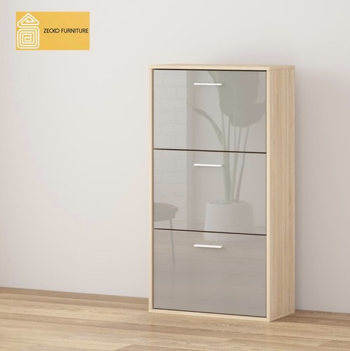 Modern shoe storage cabinet - modern,