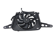 Genuine Triumph Speed Triple