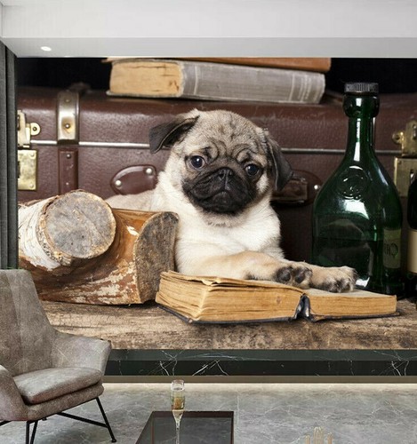 Pug dog animal - pug, wine