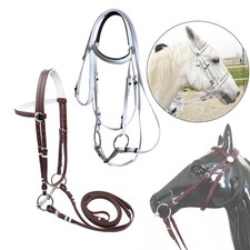 Horse bridle with reins