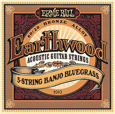 Ernie Ball Earthwood 5-String