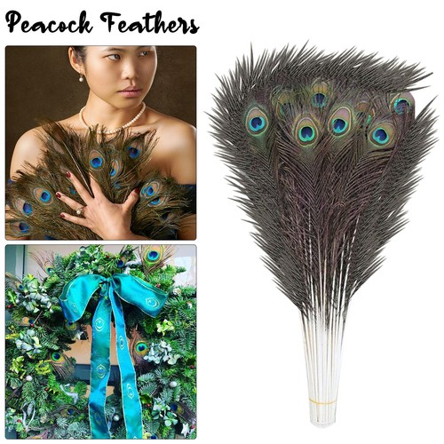 100x peacock tail - 10-100x, feathers