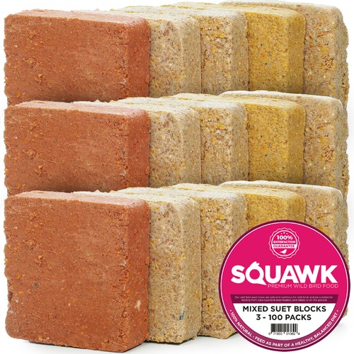 Squawk suet fat - squawk, blocks