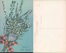 Sprig of White Heather Flowers Plants Art