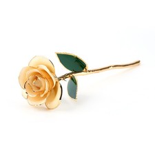 Long Stem 24k Gold Dipped Rose
