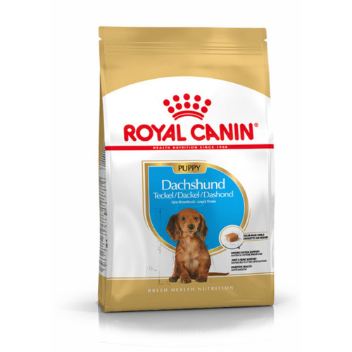 Royal canin dog dachshund - dog,