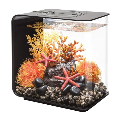 Biorb flow aquarium - fish, tank
