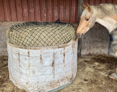 Round big bale hay haylage - bale, hay/haylage