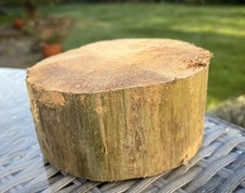 PALE DRIFTWOOD LOG PLINTH Yule