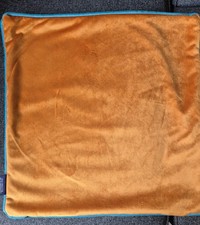 Velvet Cushion Covers orange