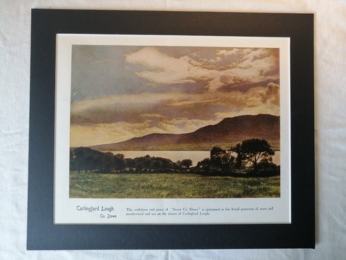 Vintage 1950s carlingford - vintage,