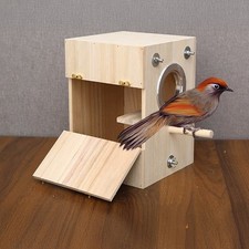 L Parrot Budgie Lovebirds