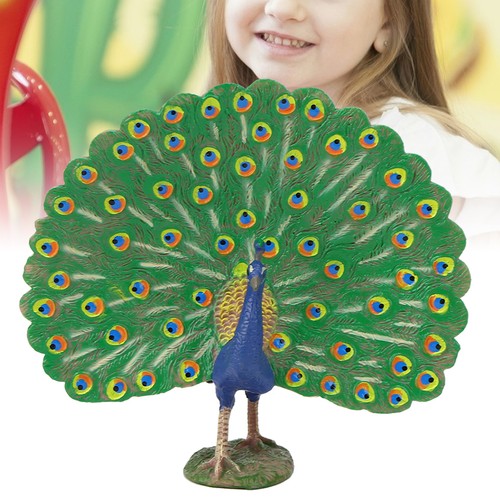 Peacock model highly - —peacock,