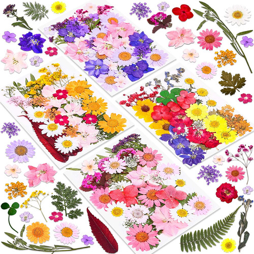 140 pieces dried pressed - 140,