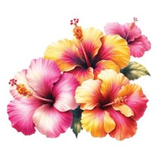 9x9cm flower wall decal