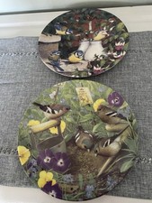 Two Coalport Plates Birds Collectible Danbury Mint Garden Birds Excellent 