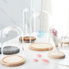 Glass Dome Display Bell Jar Cloche Wood Base for Figure Action DIY Doll Storage