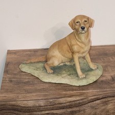 Border Fine Arts Golden