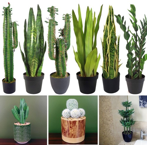 Jungle artificial plants - jungle,