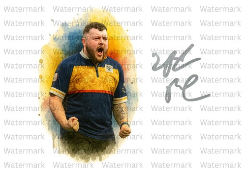 Josh rock darts signed - rock,