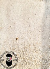 1 CUP LIVE Sand Aragonite