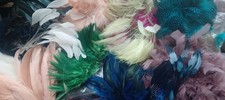 Millinery feathers.Fantastic value . 20+ different feathers 100+ items. Bargain!