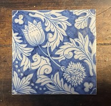 A Lovely Tulip & Carnation