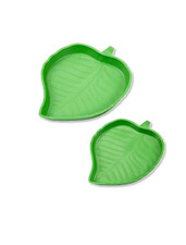 2 Sizes Reptile Food Water