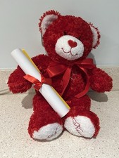 Valentines Teddy Bear New And