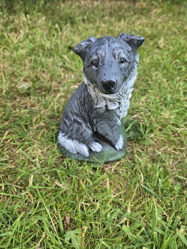 Grey sheepdog collie dog - sheepdog, /
