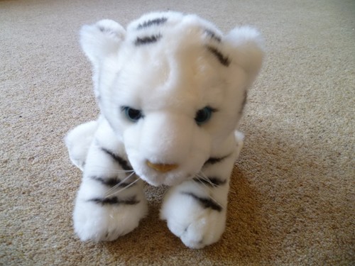 Nature planet white snow - snow, tiger