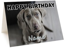 Personalised Weimaraner