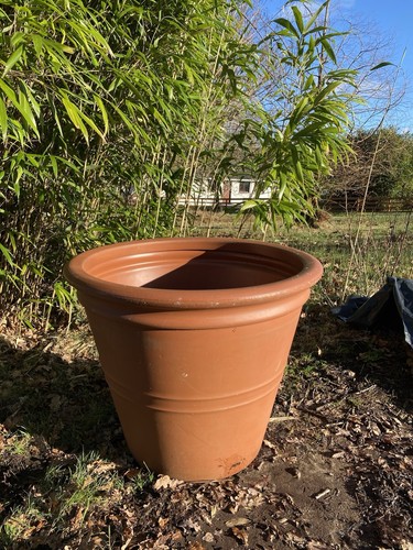 Xtra large terracotta - terracotta, plant