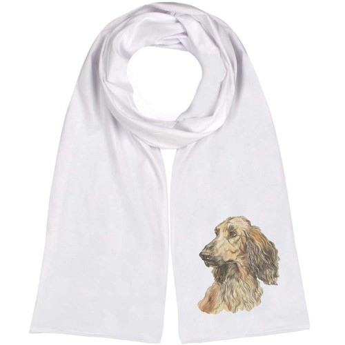 Afghan hound portrait - hound, portrait'