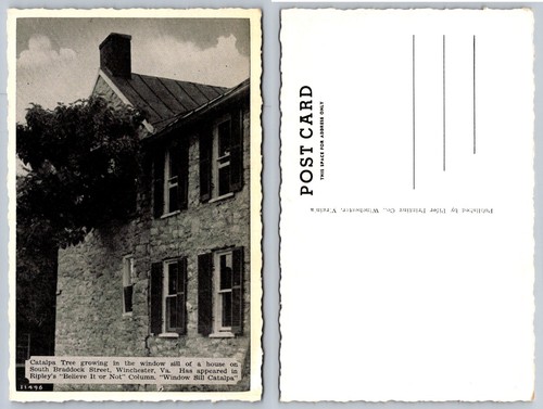 Winchester ripley believe - va,