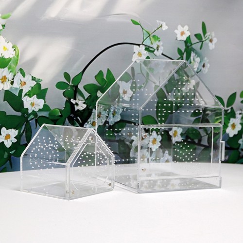 Jumping spiders enclosure - spiders,