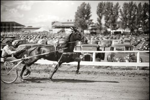 Rutland vermont 1941 sulky - vermont,