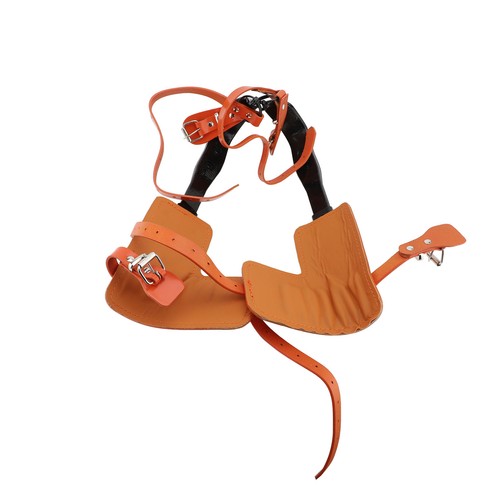 Tree climbing gear kit - tree,