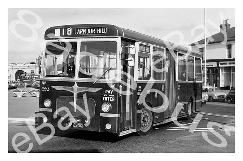 Bus photograph reading t - bus,