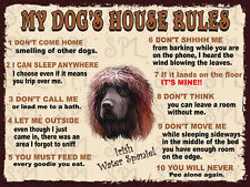 Irish Water Spaniel My Dog's