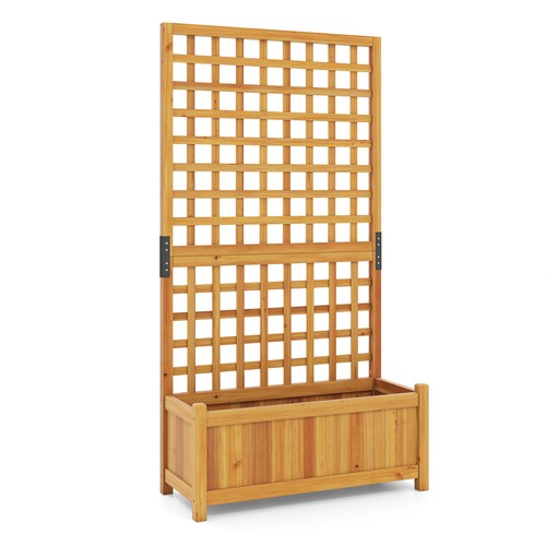Raised garden bed - garden, trellis