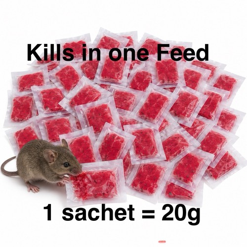 Rodent rat mouse strong killer - mouse,