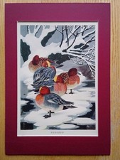 Charles Tunnicliffe, Artist -