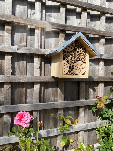 Bee hotel for bees insects - bee,