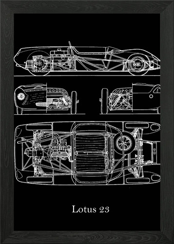 Lotus blueprint framed wall - lotus,