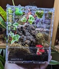 Jumping Spider Complete Full Spider Set Up Enclosure Front Opening Large 