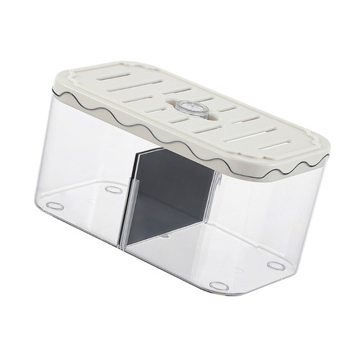 Small fish tank aquarium - fish,