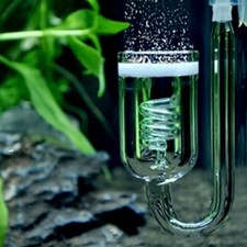 Fish Tank Aquarium Plant CO2