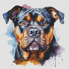 American Bully Puppy Dog