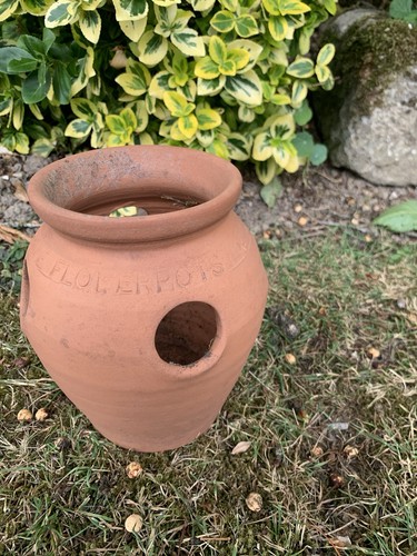 Vintage yorkshire flowerpot - vintage,
